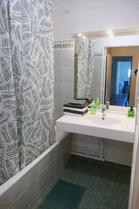 Disneyland Paris, Appartement 70M², Parking Prive Serris Exteriör bild
